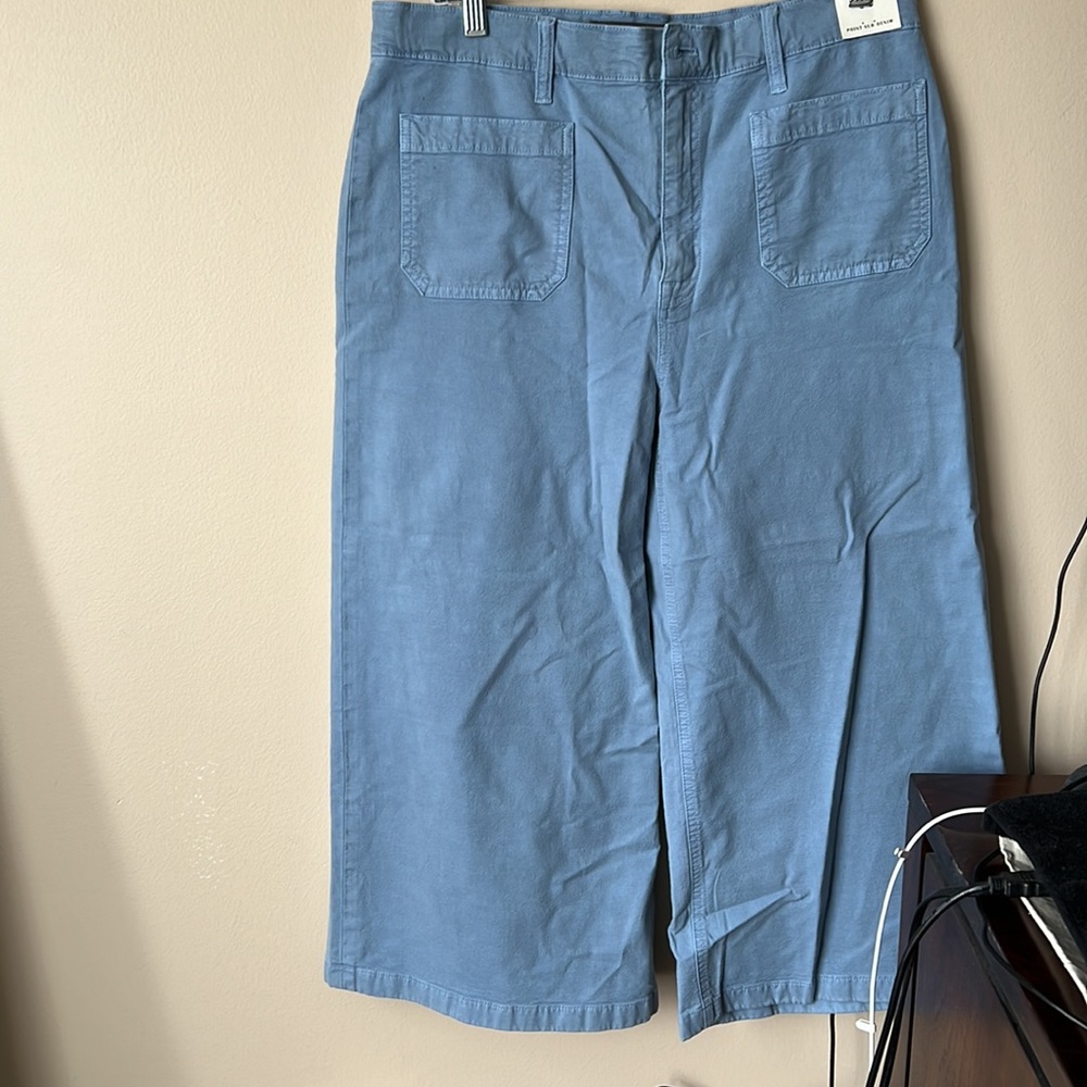 Jcrew “point sur” wide leg crop pants